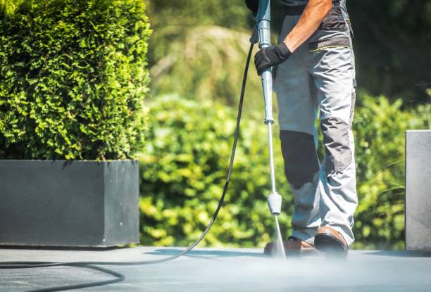Best Soft Washing for Delicate Surfaces in Comanche, TX