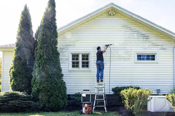 Best Vinyl Siding Pressure Washing in Comanche, TX